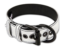 Metallic Silver Pup Collar With Leash - Coleira