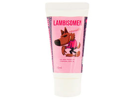 Lambisomen - Sexo Oral - Aquecimento - 15ml
