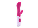 Recharger G-Spot Dual Vibration Stick Pink - USB