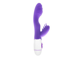 Female G- Spot Recharger Vibrator - Purple