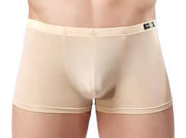 Cueca Sensual Transparente Bege