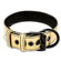 Metallic Gold Pup Collar With Leash - Coleira Sado (Imagem 1 de 3)