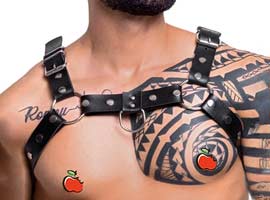 Harness Masculino Dominador Harness Masculino Dominador