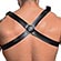 Harness Masculino Dominador (Imagem 2 de 2)